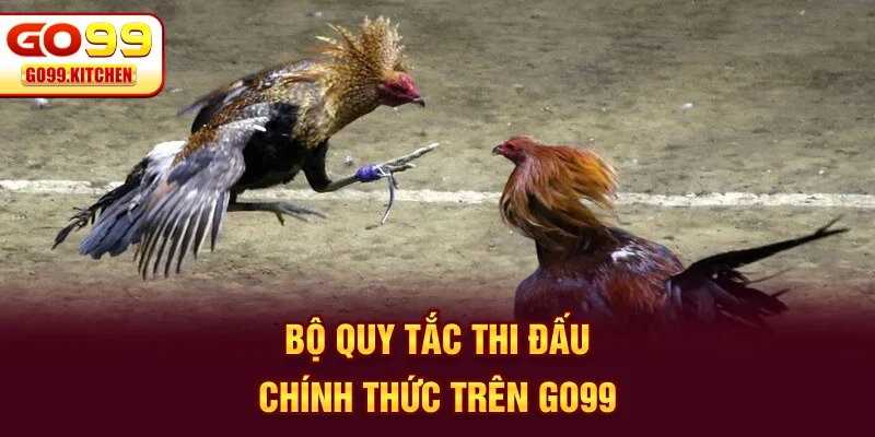 Bộ quy tắc thi đấu chính thức trên đá gà GO99
